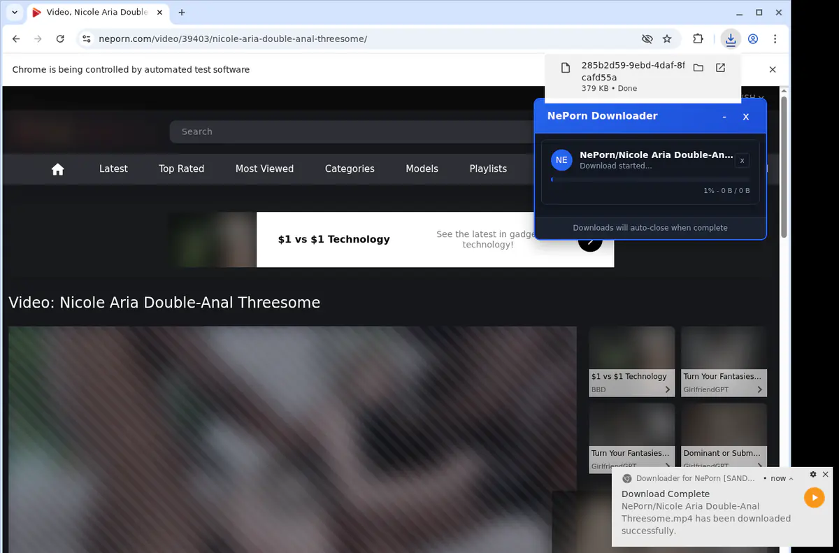 Neporn Video Downloader screenshot 2