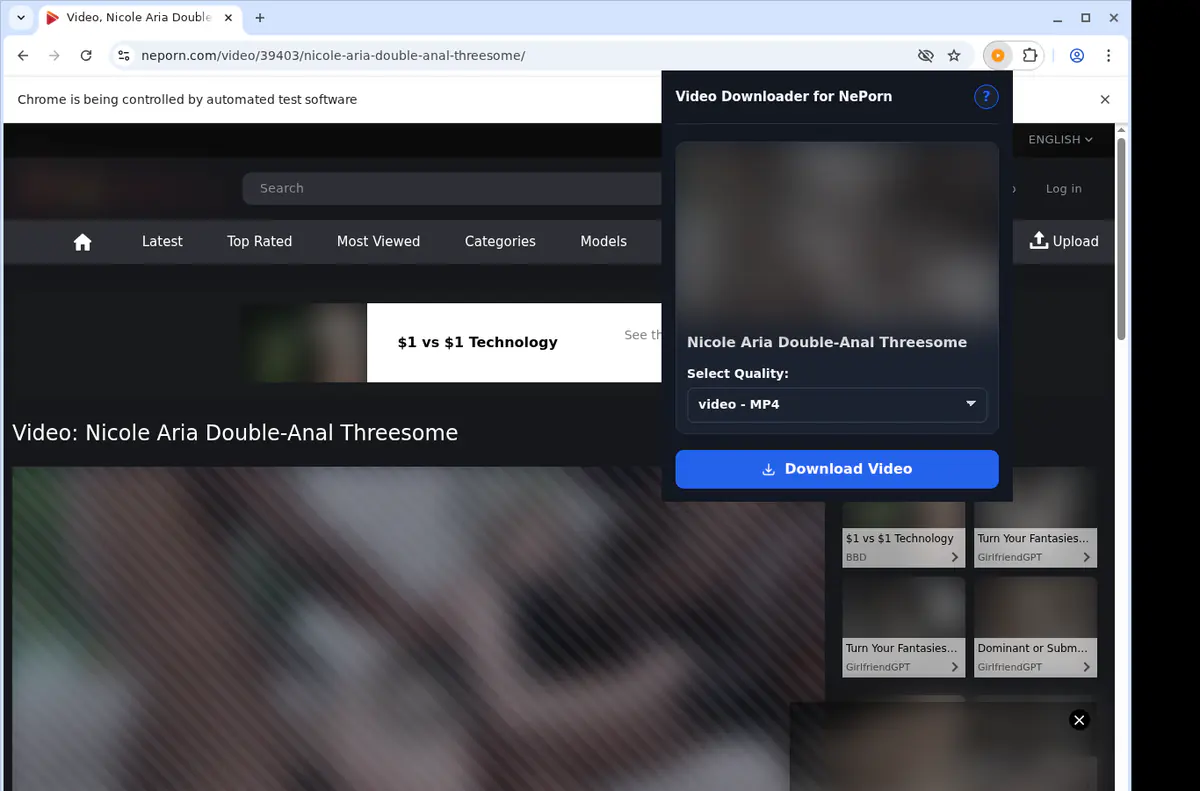 Neporn Video Downloader screenshot 3